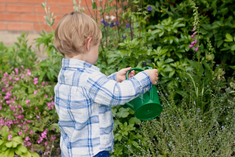 Watering the plants