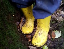 Muddy Wellies