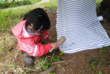 Outdoor Kindergarten